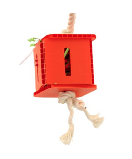 Foraging Cube - Hanging Parrot Toy - Small